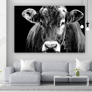 Acrylglasbild Portrait einer Kuh Schwarz Weiß Querformat