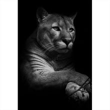 Lade das Bild in den Galerie-Viewer, Aluminiumbild Puma auf Schwarz Hochformat
