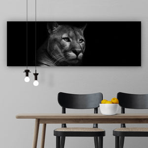 Leinwandbild Puma auf Schwarz Panorama