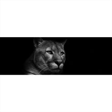 Lade das Bild in den Galerie-Viewer, Aluminiumbild Puma auf Schwarz Panorama
