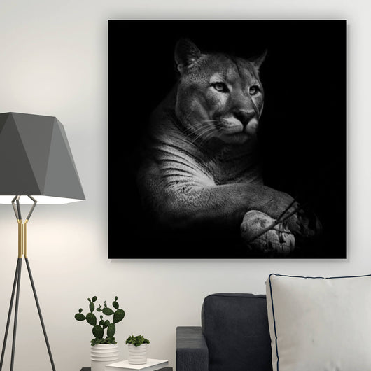 Acrylglasbild Puma auf Schwarz Quadrat
