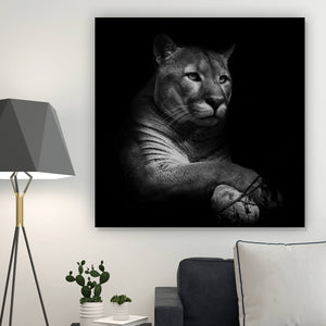 Spannrahmenbild Puma auf Schwarz Quadrat