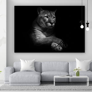 Acrylglasbild Puma auf Schwarz Querformat