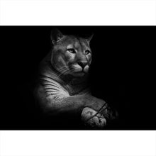Lade das Bild in den Galerie-Viewer, Spannrahmenbild Puma auf Schwarz Querformat
