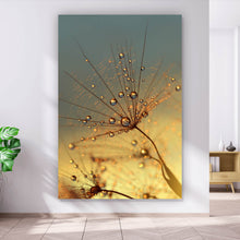 Lade das Bild in den Galerie-Viewer, Leinwandbild Pusteblume bei Sonnenuntergang Hochformat
