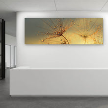 Lade das Bild in den Galerie-Viewer, Leinwandbild Pusteblume bei Sonnenuntergang Panorama
