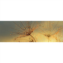 Lade das Bild in den Galerie-Viewer, Acrylglasbild Pusteblume bei Sonnenuntergang Panorama
