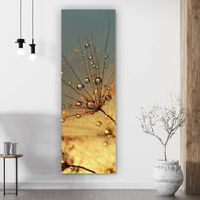 Lade das Bild in den Galerie-Viewer, Leinwandbild Pusteblume bei Sonnenuntergang Panorama Hoch
