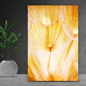 Acrylglasbild Pusteblume im Sonnenlicht Hochformat