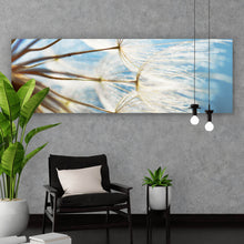 Lade das Bild in den Galerie-Viewer, Aluminiumbild gebürstet Pusteblume bei Sonnenlicht Panorama
