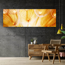 Lade das Bild in den Galerie-Viewer, Aluminiumbild gebürstet Pusteblume im Sonnenlicht Panorama
