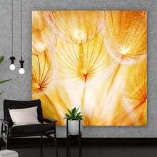 Lade das Bild in den Galerie-Viewer, Aluminiumbild gebürstet Pusteblume im Sonnenlicht Quadrat
