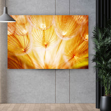 Lade das Bild in den Galerie-Viewer, Leinwandbild Pusteblume im Sonnenlicht Querformat
