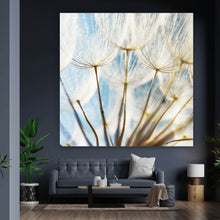 Lade das Bild in den Galerie-Viewer, Aluminiumbild gebürstet Pusteblume im Sonnenschein Quadrat
