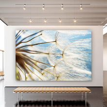Lade das Bild in den Galerie-Viewer, Aluminiumbild gebürstet Pusteblume im Sonnenschein Querformat
