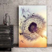 Lade das Bild in den Galerie-Viewer, Poster Pusteblume im Sonnenuntergang Hochformat
