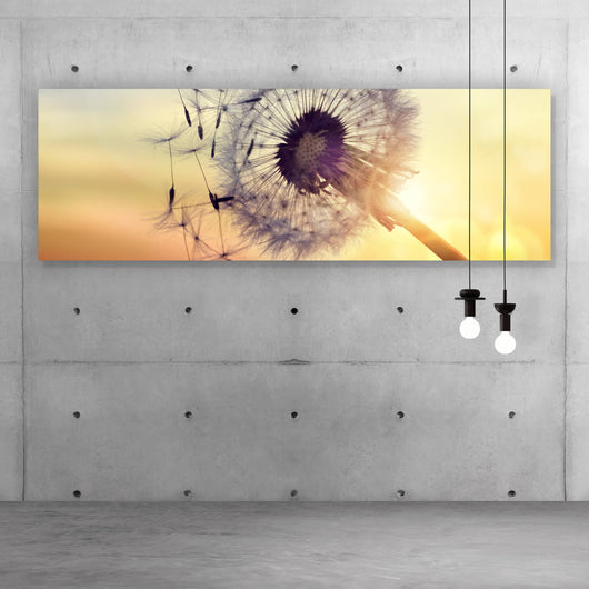 Poster Pusteblume im Sonnenuntergang Panorama