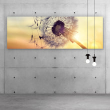 Lade das Bild in den Galerie-Viewer, Leinwandbild Pusteblume im Sonnenuntergang Panorama

