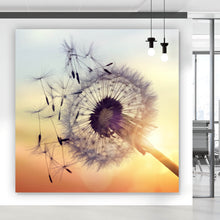 Lade das Bild in den Galerie-Viewer, Leinwandbild Pusteblume im Sonnenuntergang Quadrat
