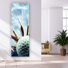 Lade das Bild in den Galerie-Viewer, Aluminiumbild gebürstet Pusteblume No.1 Panorama Hoch
