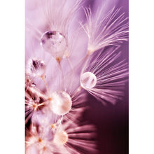 Lade das Bild in den Galerie-Viewer, Leinwandbild Pusteblume Violett Hochformat
