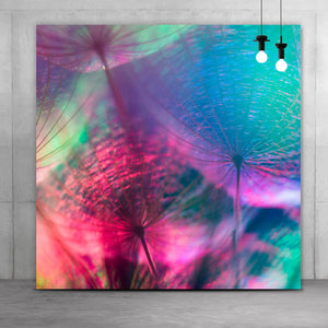 Aluminiumbild gebürstet Pusteblumen in bunten Pastellfarben Quadrat