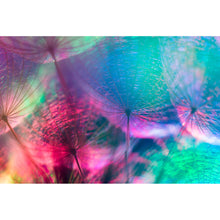Lade das Bild in den Galerie-Viewer, Aluminiumbild Pusteblumen in bunten Pastellfarben Querformat
