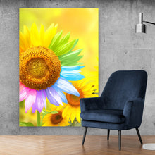 Lade das Bild in den Galerie-Viewer, Poster Regenbogen Sonnenblume Hochformat

