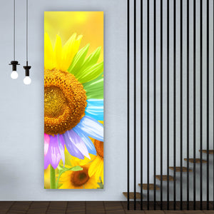 Aluminiumbild Regenbogen Sonnenblume Panorama Hoch