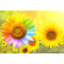 Lade das Bild in den Galerie-Viewer, Acrylglasbild Regenbogen Sonnenblume Querformat
