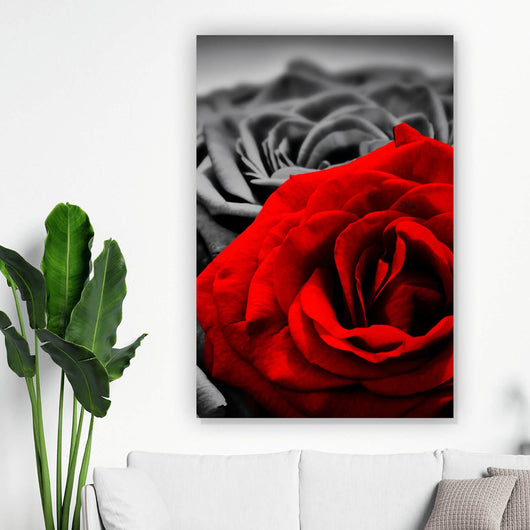 Aluminiumbild Romantische Rosen Hochformat