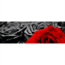 Lade das Bild in den Galerie-Viewer, Aluminiumbild gebürstet Romantische Rosen Panorama
