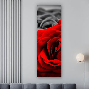 Aluminiumbild Romantische Rosen Panorama Hoch