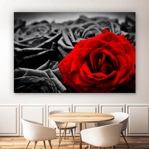 Spannrahmenbild Romantische Rosen Querformat