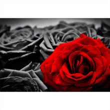 Lade das Bild in den Galerie-Viewer, Spannrahmenbild Romantische Rosen Querformat
