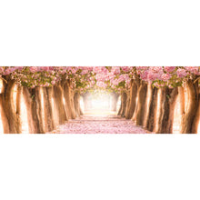 Lade das Bild in den Galerie-Viewer, Aluminiumbild Rosa Allee im Frühjahr Panorama
