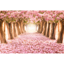 Lade das Bild in den Galerie-Viewer, Aluminiumbild Rosa Allee im Frühjahr Querformat
