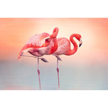 Lade das Bild in den Galerie-Viewer, Spannrahmenbild Rosa Flamingo Paar Querformat
