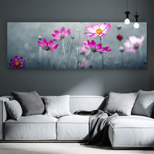 Lade das Bild in den Galerie-Viewer, Aluminiumbild Rosa Kosmosblumen im Garten Panorama
