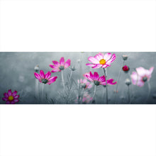 Lade das Bild in den Galerie-Viewer, Aluminiumbild Rosa Kosmosblumen im Garten Panorama
