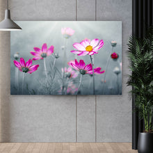 Lade das Bild in den Galerie-Viewer, Leinwandbild Rosa Kosmosblumen im Garten Querformat
