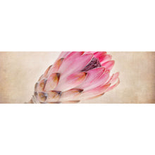 Lade das Bild in den Galerie-Viewer, Leinwandbild Rosa Vintage Blume Panorama
