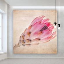 Lade das Bild in den Galerie-Viewer, Aluminiumbild gebürstet Rosa Vintage Blume Quadrat

