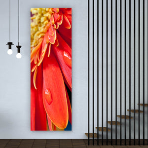Poster Rote Blume mit Tau Panorama Hoch