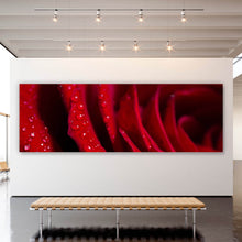 Lade das Bild in den Galerie-Viewer, Aluminiumbild gebürstet Rote Rose Nahaufnahme Panorama
