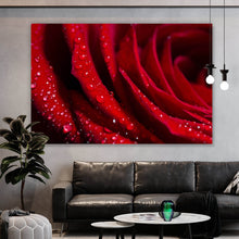 Lade das Bild in den Galerie-Viewer, Aluminiumbild Rote Rose Nahaufnahme Querformat
