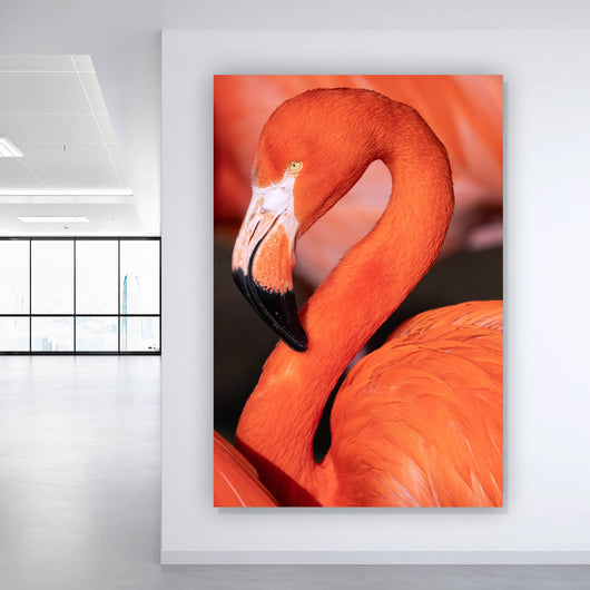 Aluminiumbild gebürstet Roter Flamingo Hochformat