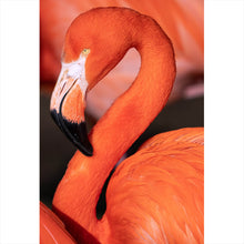 Lade das Bild in den Galerie-Viewer, Aluminiumbild gebürstet Roter Flamingo Hochformat
