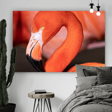 Lade das Bild in den Galerie-Viewer, Spannrahmenbild Roter Flamingo Querformat
