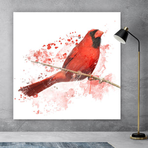 Leinwandbild Roter Kardinal Vogel Aquarell Quadrat